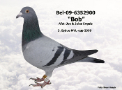 BEL-09-6352900.JPG